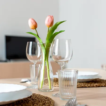 Professor's House In Porta Pia ローマ