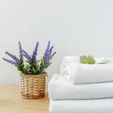 Professor's House In Porta Pia * ローマ